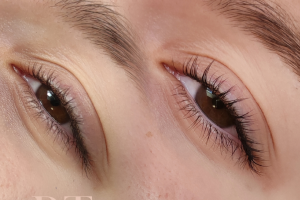 Lash 3