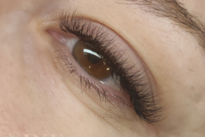 Lash 4